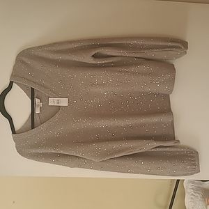Loft Sparkle Sweater